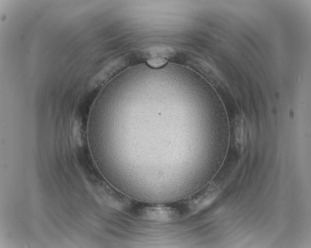 X0000066520316200603241343