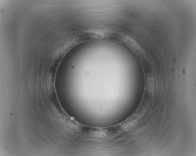 X0000066520318200603241343