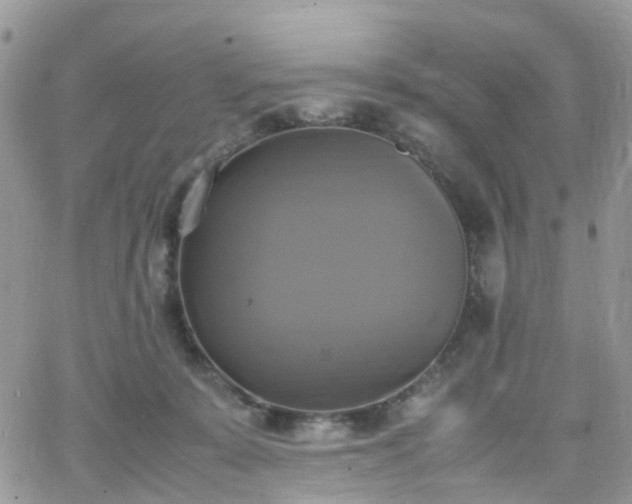 X0000066520319200603241343