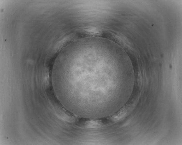 X0000066520320200603241343