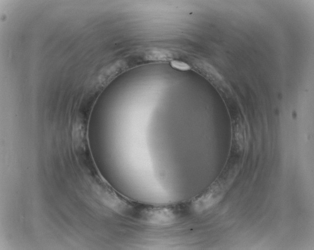 X0000066520322200603241343