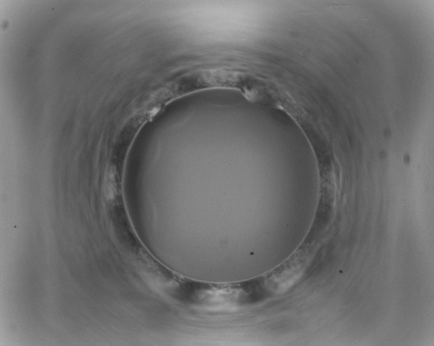 X0000066520323200603241343