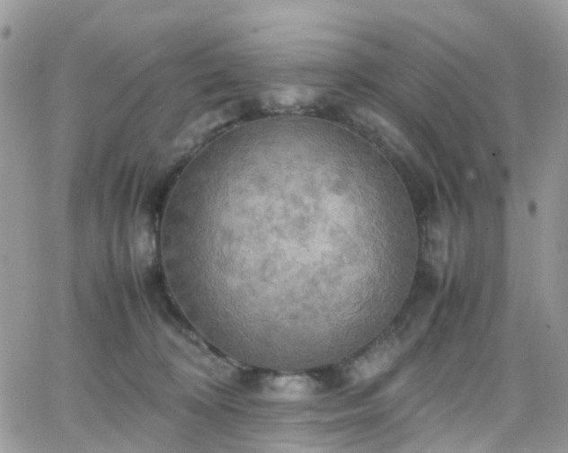 X0000066520324200603241343