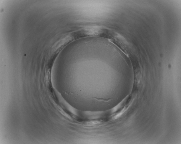 X0000066520325200603241343