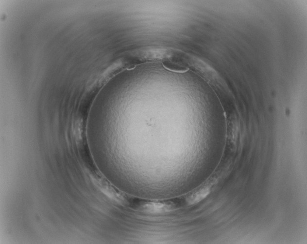 X0000066520326200603241343