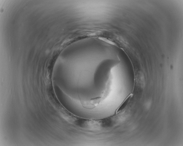 X0000066520327200603241343