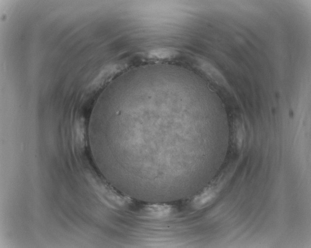 X0000066520328200603241343