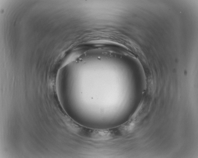 X0000066520329200603241343