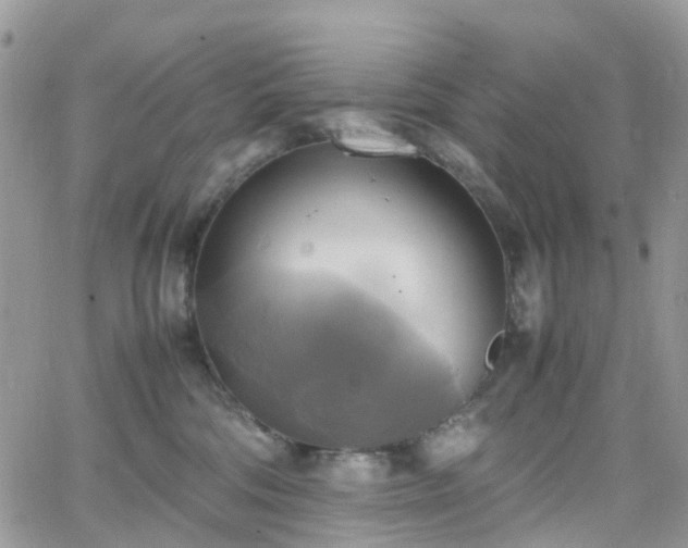 X0000066520330200603241343