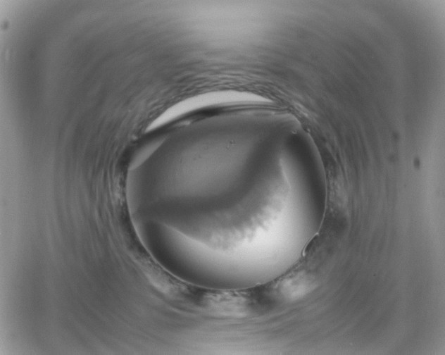 X0000066520331200603241343