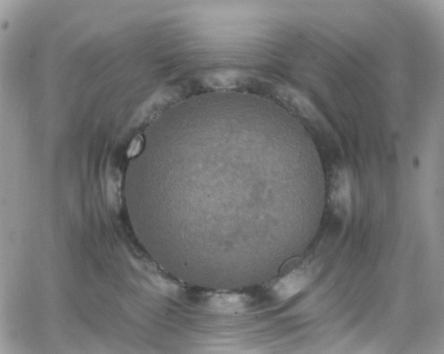 X0000066520332200603241343