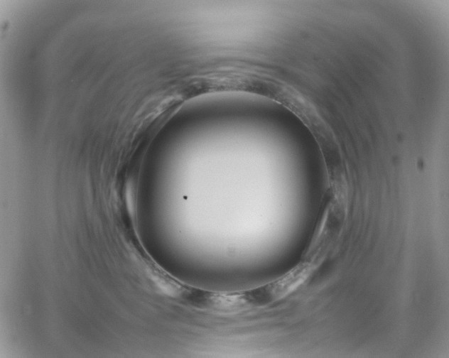 X0000066520333200603241343