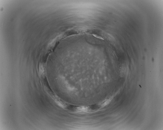 X0000066520335200603241343