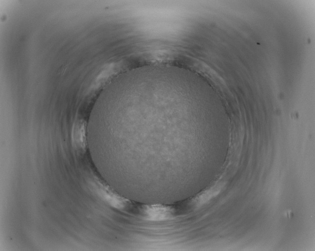 X0000066520336200603241343