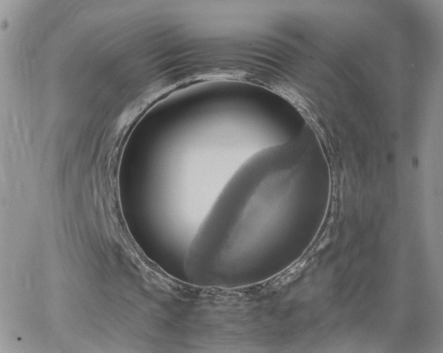 X0000066520337200603241342