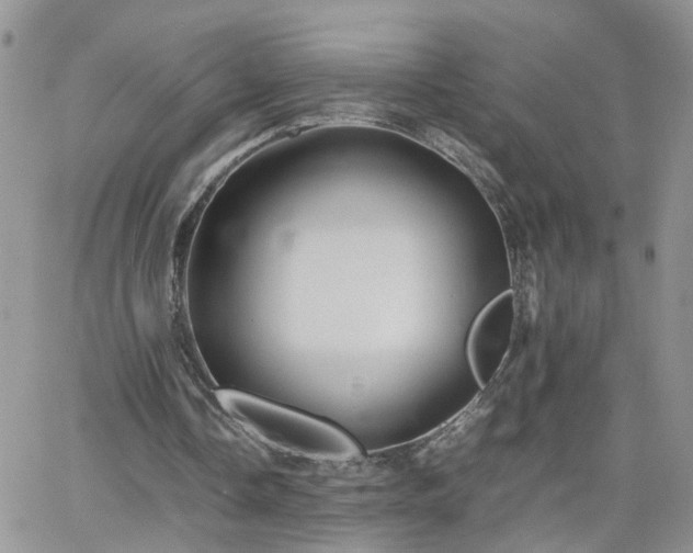 X0000066520338200603241342