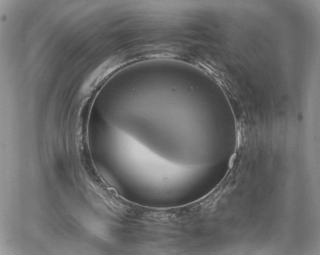 X0000066520339200603241342