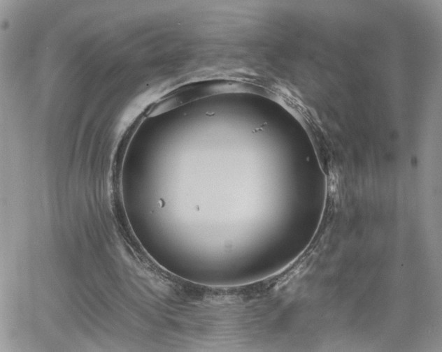 X0000066520340200603241342