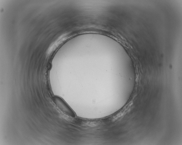 X0000066520341200603241342