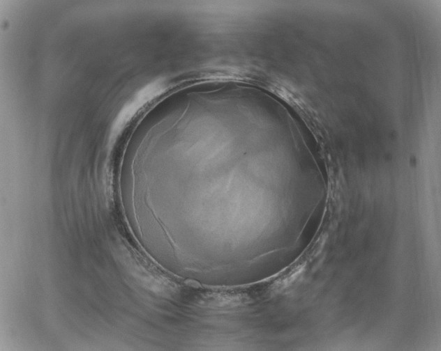 X0000066520343200603241342