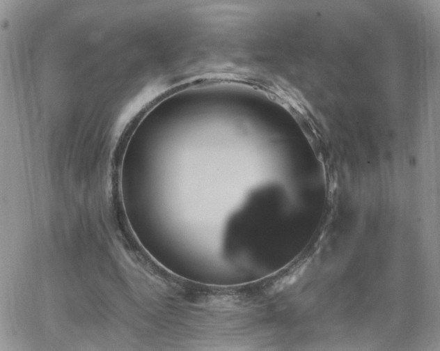 X0000066520344200603241342