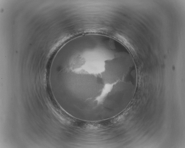 X0000066520346200603241342