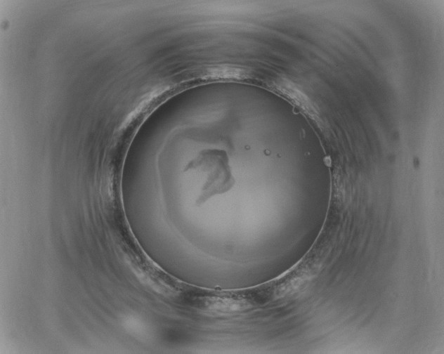 X0000066520347200603241342