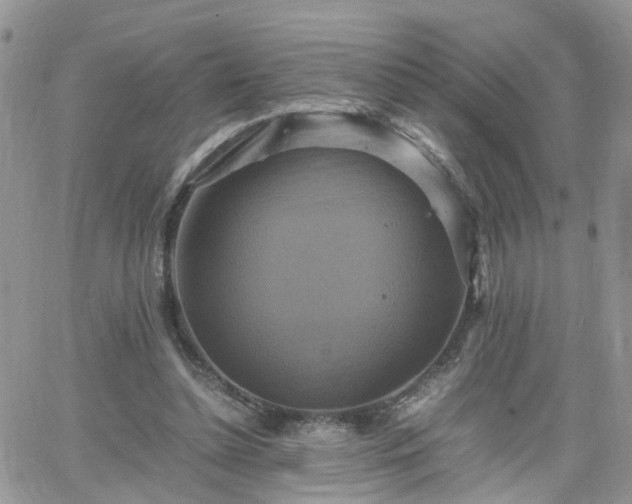 X0000066520348200603241342