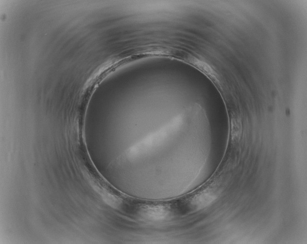 X0000066520349200603241342