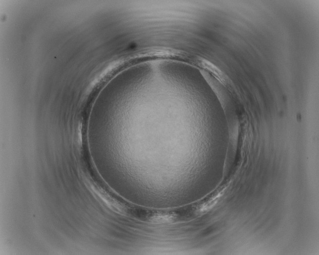 X0000066520350200603241342