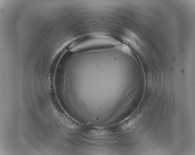 X0000066520351200603241342