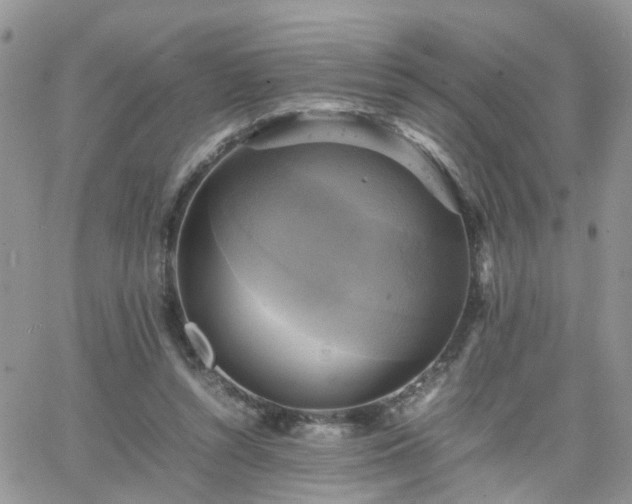 X0000066520352200603241342