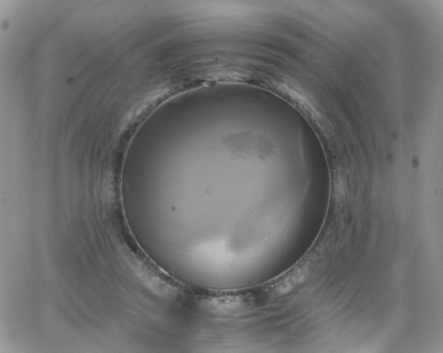 X0000066520353200603241342