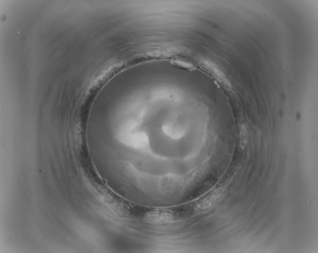 X0000066520354200603241342