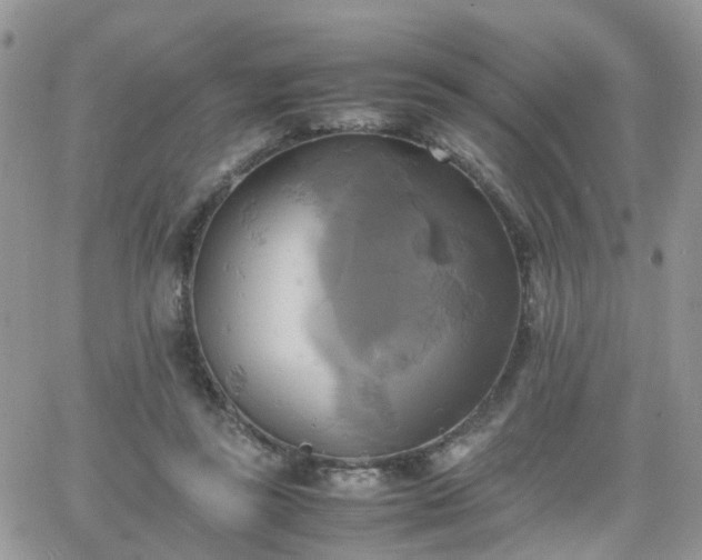 X0000066520355200603241342