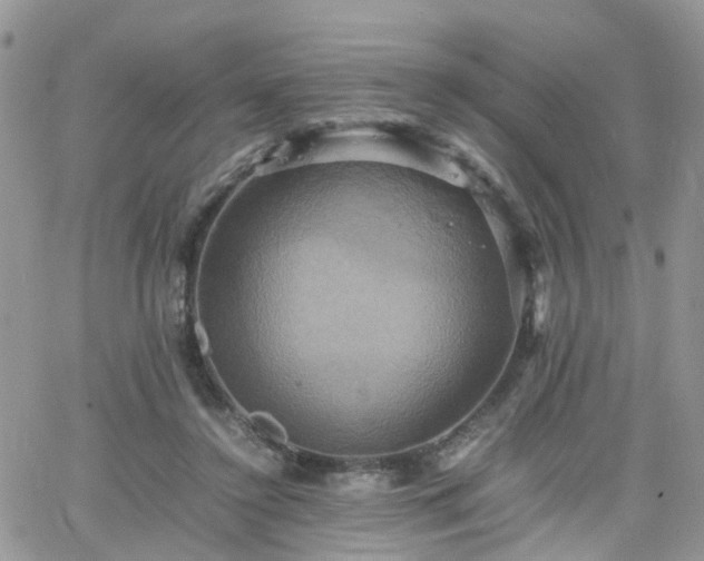 X0000066520356200603241342