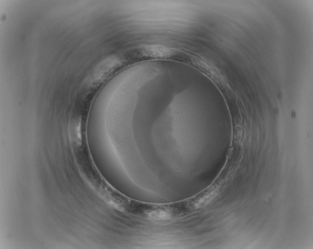 X0000066520358200603241342