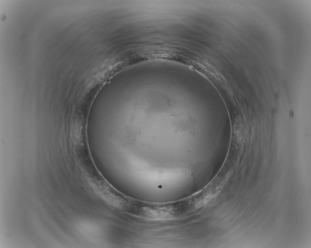 X0000066520359200603241342