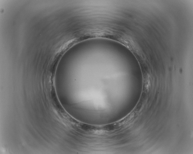 X0000066520360200603241342