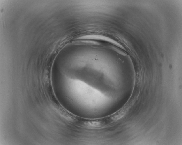 X0000066520361200603241342