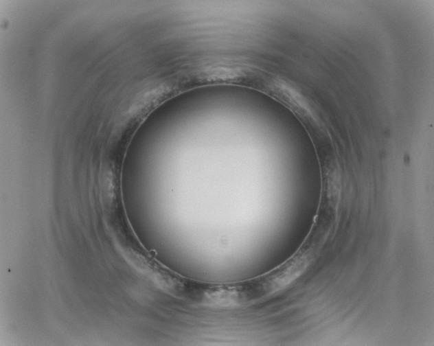 X0000066520362200603241342