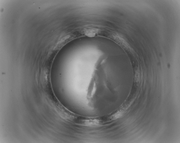 X0000066520363200603241342