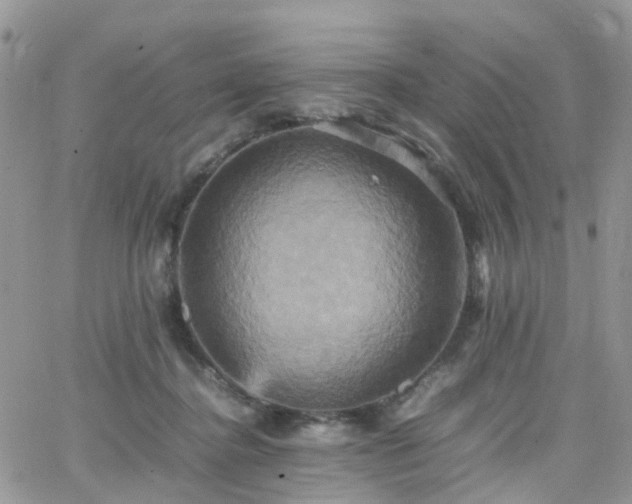 X0000066520364200603241342