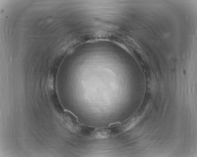 X0000066520368200603241342