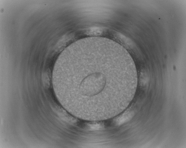 X0000066520370200603241342