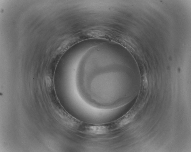 X0000066520371200603241342