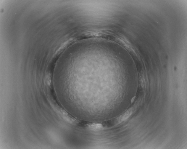 X0000066520374200603241342