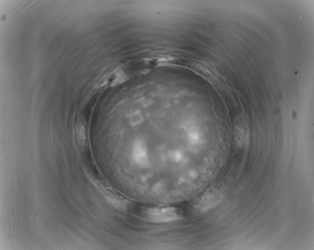 X0000066520375200603241342