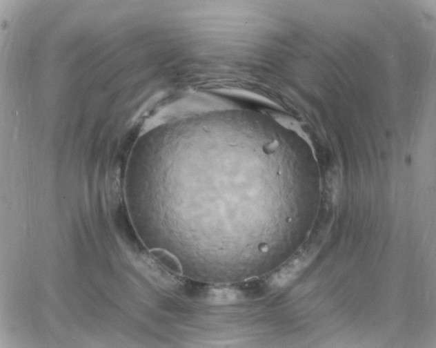 X0000066520376200603241342