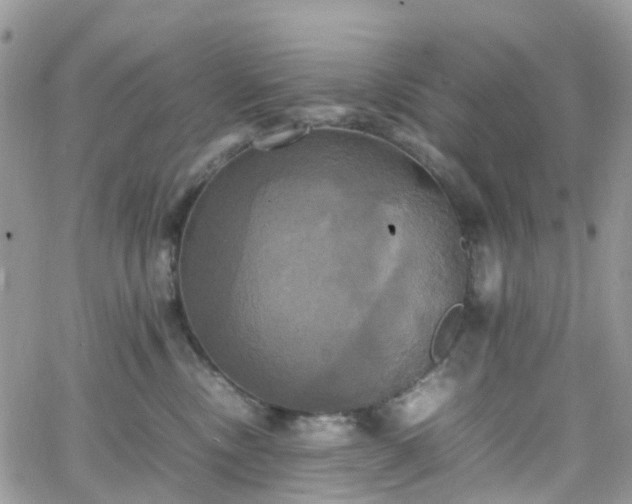 X0000066520378200603241342